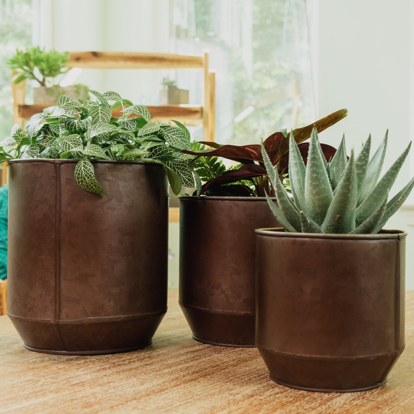 August Round Planters Set of 3